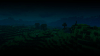 pirol-wallpaper-01.jpg