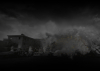 pugb-background-04.jpg